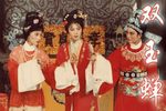 双玉蝉下载
