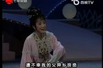 梁山伯与祝英台 全本·越剧经典版