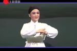 红楼梦 上集