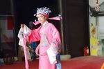 孟丽君 游上林