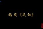 凤姐