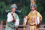 孟丽君 上越明星版下载