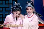 陆游与唐琬·小红楼 选段