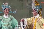 孟丽君之游上林下载