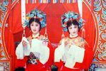 花为媒 全本