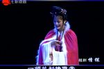 情探