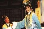玉蜻蜓 拒子下载