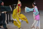 王老虎抢亲·戏豹