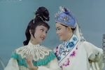 三看御妹刘金定 1962年清晰完整版
