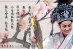 盘妻索妻 2008年