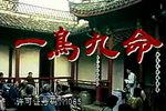 一鸟九命 电视剧