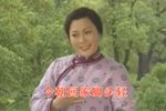 罗汉钱下载