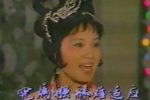 寒梅吐艳
