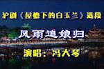 屋檐下的白玉兰 风雨追娘归（选段）