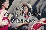 赵一曼·最后行动
