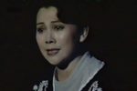 影子下载