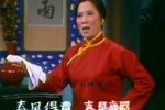 芦荡火种