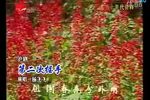 第二次握手