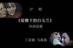 屋檐下的白玉兰 风雨追娘