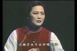 罗汉钱 回忆