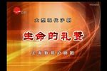 生命的礼赞 2009