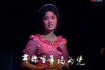 血染姐妹花 片段集锦