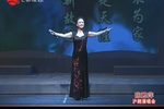 长宁之花别样红 陈甦萍沪剧演唱会 20151105