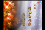 深秋的泪痕 长宁沪剧团版