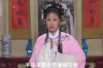 王华买父 庐剧