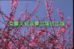 庐剧（半把剪刀） 共八集