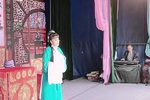 庐剧姐妹情仇 第三本1
