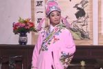 庐剧（抢亲） 单