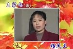 小苦柳