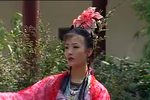 九美图