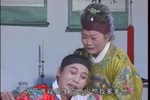 杨家将 四郎探母 第四场·见弟·见母