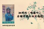 喝面叶 选段