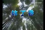 休丁香
