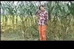 小寡妇串门