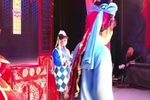 两国驸马 第四本