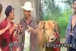 二子上学 下集 全十古云