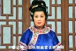 庐剧王小失妻