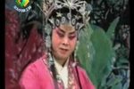 赵美容观灯 上集