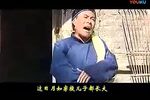 丑女婿