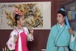 癞蛤蟆想吃天鹅