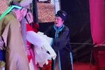 秦雪梅 6