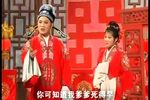 庐剧婆婆与媳妇 2