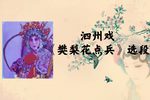 樊梨花点兵 选段