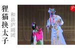 狸猫换太子