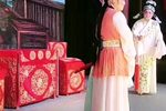 凤还巢 5