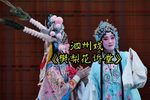樊梨花诉堂